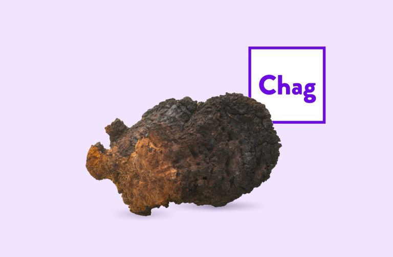 Chaga Sclerotia Products