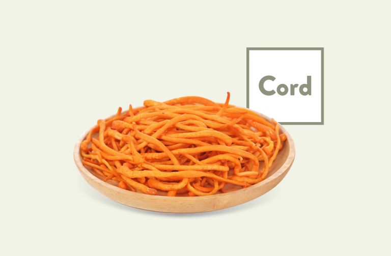 Cordyceps Products