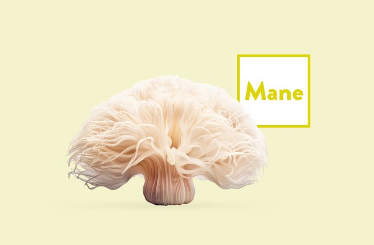 Lions Mane Products