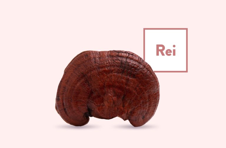 Reishi Products